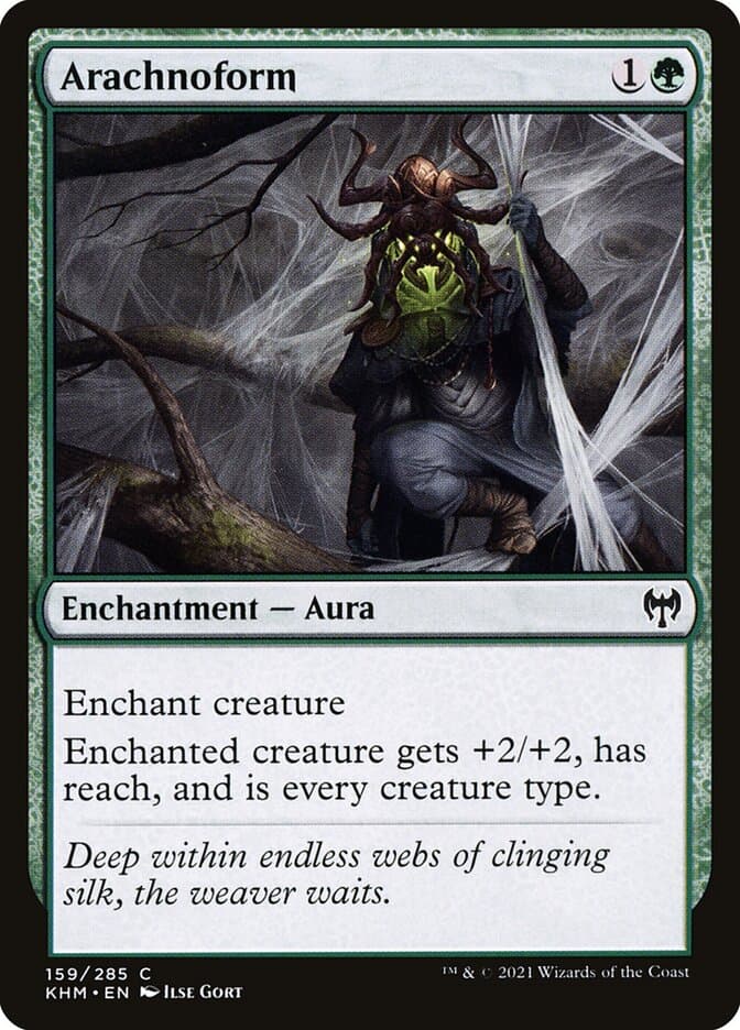 Arachnoform Foil